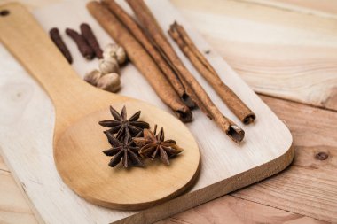 kuru ot koleksiyonu kümesi. kuru bitki tohum için doğa alternatif tıp bitkisel karışımı.