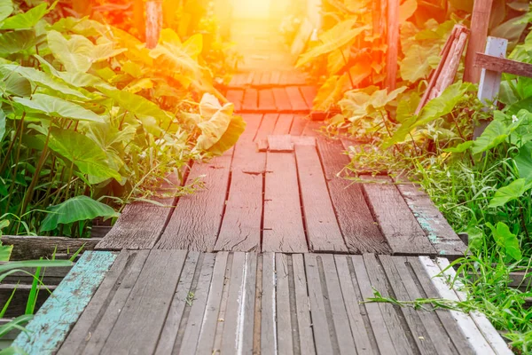 Παλιά διαδρομή ξύλινη γέφυρα στο πυκνό δάσος διέλευση νερού με λαμπερό φως στο τέλος της με τα ξύλινα πόδια τρόπο — Φωτογραφία Αρχείου