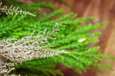 yeşil yaprak ile ahşap arka plan bulanıklık.