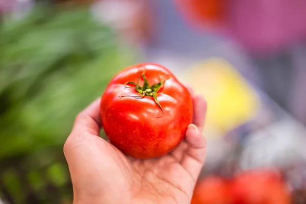 Rojo tomate grande en la mano . — Foto de Stock