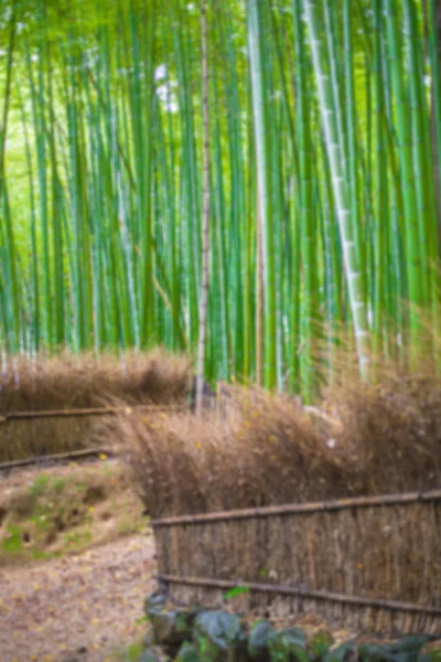 Camino al bosque de bambú, Arashiyama, Kyoto, Japón desenfoque para el fondo . — Foto de Stock