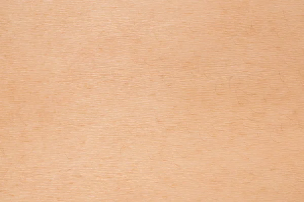 skin pores texture stock photos royalty free skin pores texture images depositphotos 174 skin pores texture stock photos royalty free skin pores texture images depositphotos 174 skin pores texture stock photos royalty free skin pores texture images depositphotos 174 skin pores texture stock photos royalty free skin pores texture images depositphotos 174