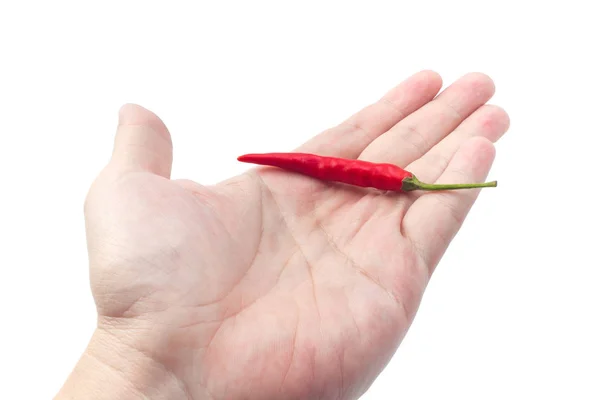 Thai Chili pepper on hand. — Stock Photo, Image