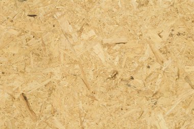 güzel ahşap doku doğa desen arka planı için