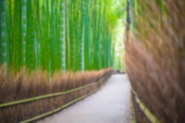 Yol bambu ormanı, Arashiyama, Kyoto, Japonya için arka plan bulanıklık