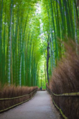 Yol bambu ormanı, Arashiyama, Kyoto, Japonya için arka plan bulanıklık.