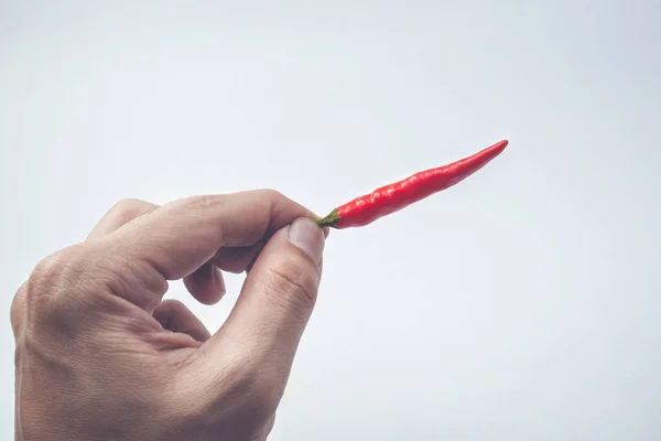 Kezét tartsa Chili paprika — Stock Fotó