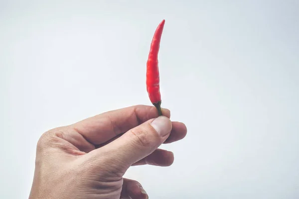 Hand hold Chili pepper — Stock Photo, Image