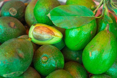 Avokado (Persea americana) süper meyve sağlıklı gıda ile önemli besinler.