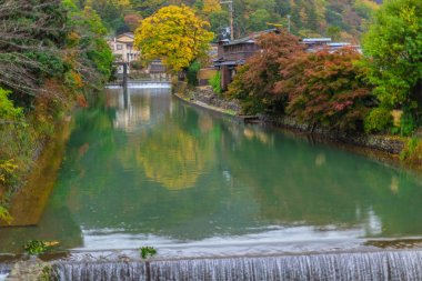 güzel doğa yeşil ağaç ile Japonya'da temiz su kanalı