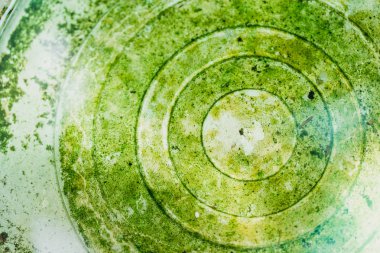 içinde belgili tanımlık dip su depo gözü yüzey nemli moss yeşil ıslak. doğa arka plan.