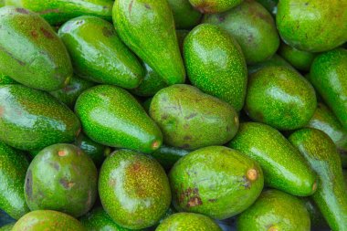 Avokado (Persea americana) süper meyve sağlıklı gıda ile önemli besinler.