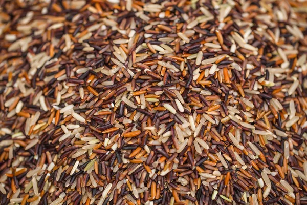 Arroz integral ogânico ou riceberry fonte de alimentos saudáveis de fibra e alta nutrição vitamínica da Tailândia — Fotografia de Stock