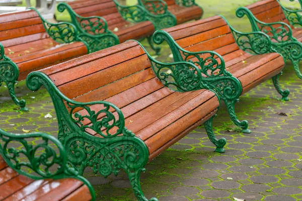 Rangée de bancs en bois dans le parc vert — Photo