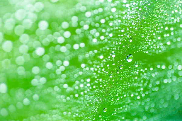 Queda verde estação chuvosa de água doce para o fundo — Fotografia de Stock