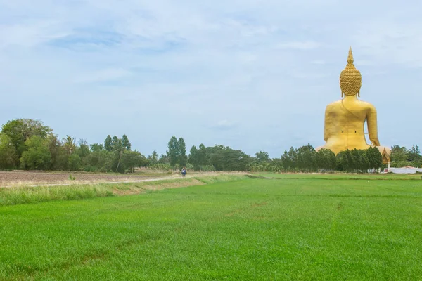 Bouddha doré à la campagne — Photo