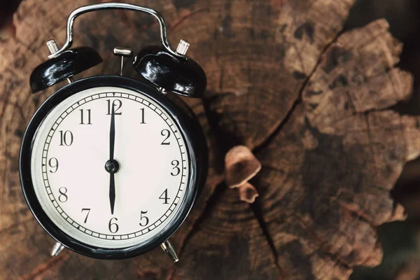 Orologio su legno albero natura sfondo — Foto Stock