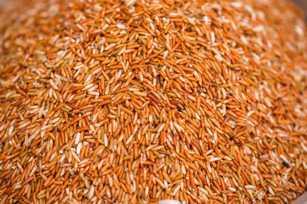 Arroz integral ogánico o arándano plantación de alimentos saludables en Tailandia —  Fotos de Stock