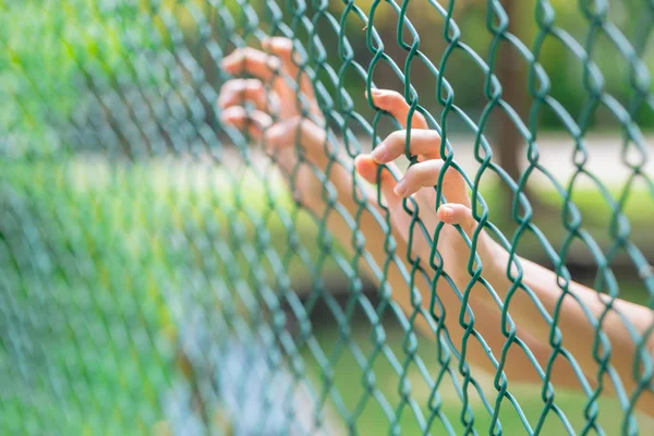 child little girl hand holding steel cage to child abduction or children imprisoned concept