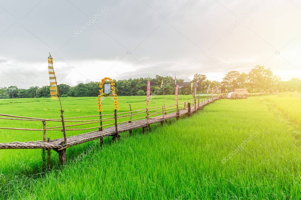 public travel location bamboo handmade bridge on green rice field in Lampang