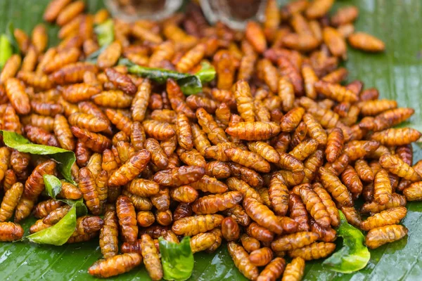 Insectos fritos gusano de seda crujiente insectos populares snack barato alto en proteínas y alimentos bajos en grasa popular en Tailandia y muchos países asiáticos — Foto de Stock