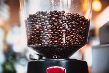 Taze koyu kavrulmuş arabica kahve çekirdeği içinde elektrikli Kahve değirmeni makine kafe içinde