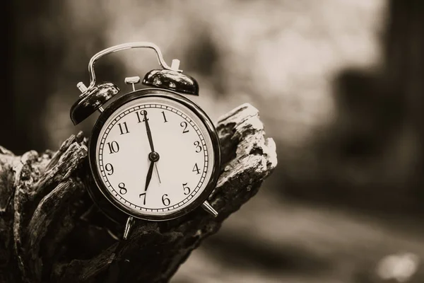 Vintage στυλ παλιό ρολόι εγκαίρως ξύλινο παλιό δέντρο στις 7 η ώρα το πρωί ρετρό καφέ μονο τόνο — Φωτογραφία Αρχείου