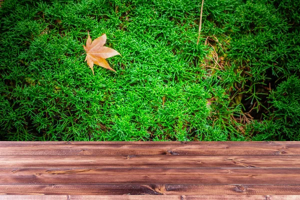 日本秋季装饰松木表 — 图库照片