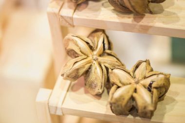 Sacha Peanut or Sacha-Inchi Peanut herb nut dried clipart