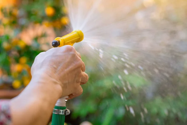 Vattning trädgård gummor hand hålla vatten spraya trädet i parken — Stockfoto