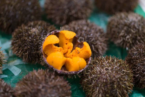 Uni Urchin Sashimi taze deniz ürünleri Japonya
