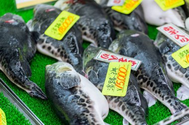 Fugu balığı veya kirpi balığı balık en zehir ama popüler Japon Sashimi Japonya Osaka Aralık 2017'dan tehlikeli deniz ürünleri.