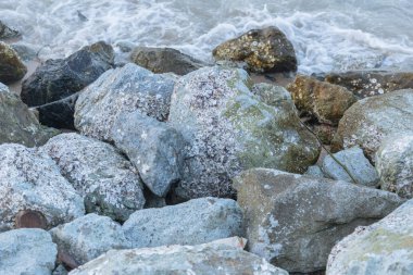 Sahil sahil taş Grunge reef