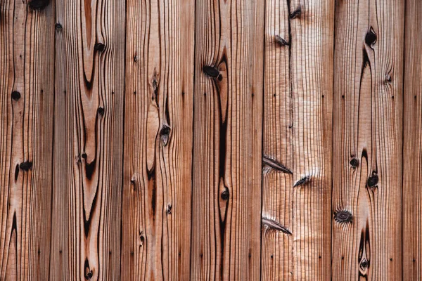 Pinho Japonês Textura Padrão Parede Madeira Para Fundo — Fotografia de Stock