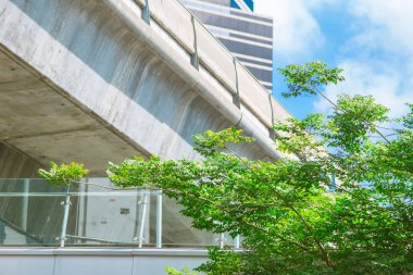 yeşil alan ve şehir kavramı ozon temiz hava için ağacı