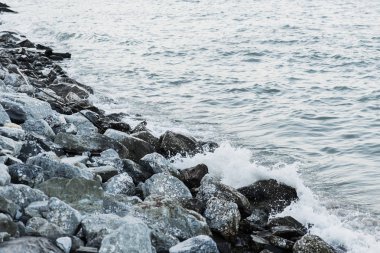 Rock grunge taş resif deniz maliyetle