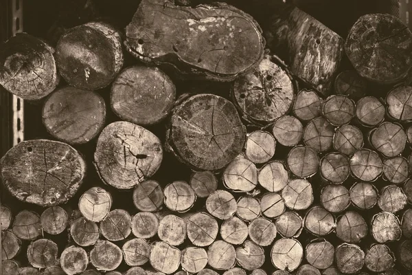 Gammal Trä Logg Ved Skogsbruk Loggning Träd Vintage Färgton — Stockfoto