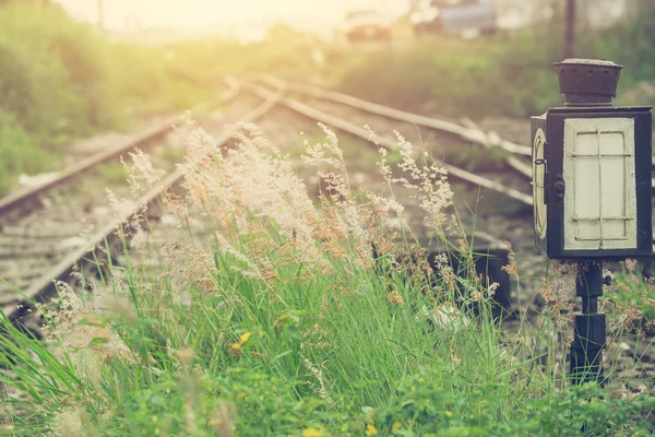 Hierba Verde Con Ferrocarril Dividir Desenfoque Fondo Hermoso Tono Color —  Fotos de Stock