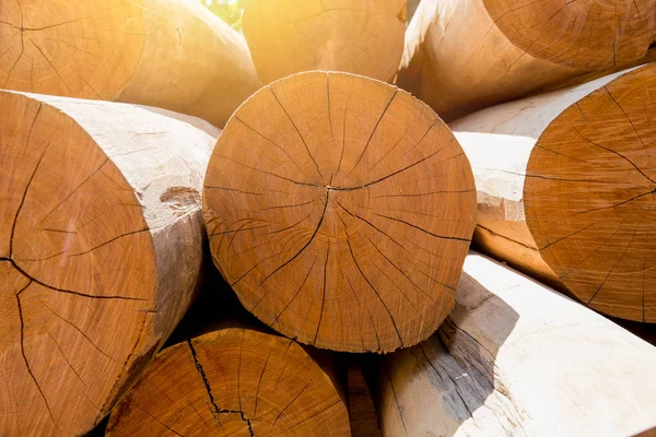 Stack Large Wood Log Golden Teak Tree Sawmills — Stock Photo, Image