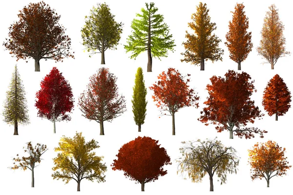 Upadek Jesień Ustawionych Białym Tle Ilustracja Kolekcji Liści Drzewa — Zdjęcie stockowe