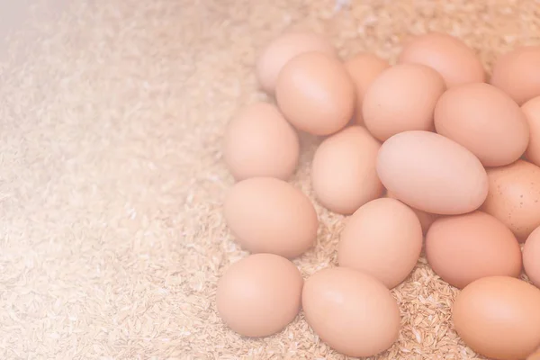Ny grupp av ägg salu i japanska marknaden — Stockfoto