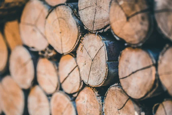 Wood Tree Pile Natural Wooden Logs Vintage Nature Texture Background — Stock Photo, Image