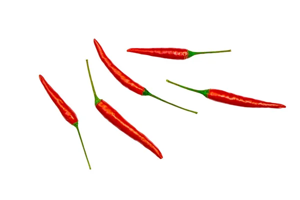 Röd Chili Krydda Isolerade Vit Bakgrund Med Urklippsbana — Stockfoto