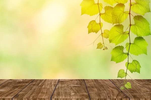 木桌与自然模糊绿色背景与常春藤藤植物装饰 — 图库照片