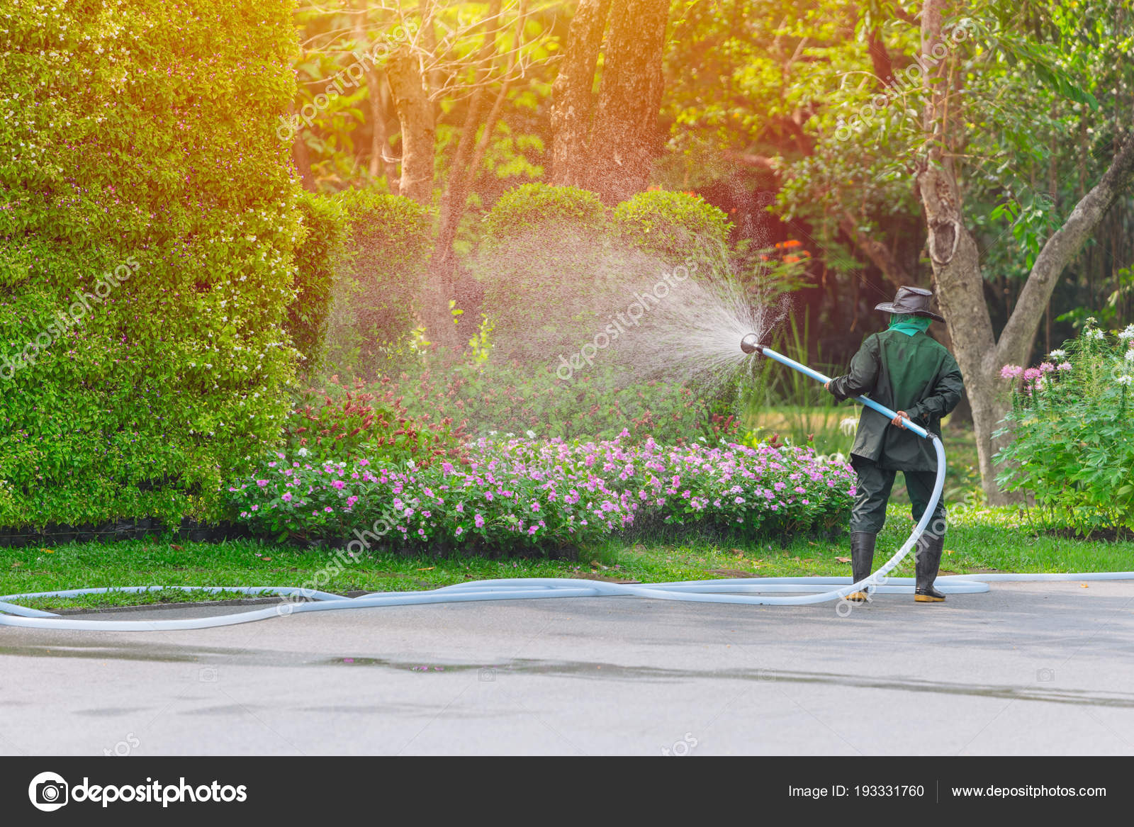 Jardinier Arroser Un Jardin Avec Un Spray À Partir D'un Tuyau D'arrosage  Banque D'Images et Photos Libres De Droits. Image 14325308