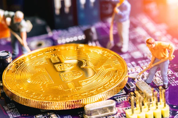 Trabajador Miniatura Cavar Oro Bitcoin Minero Placa Circuito Electrónico — Foto de Stock