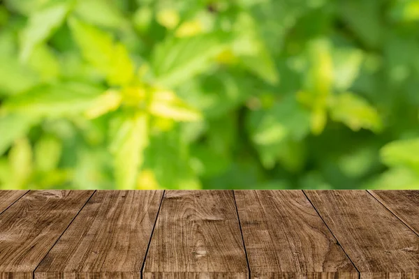 Desenfoque Naturaleza Verde Con Fondo Tabla Madera Para Plantilla Montaje — Foto de Stock