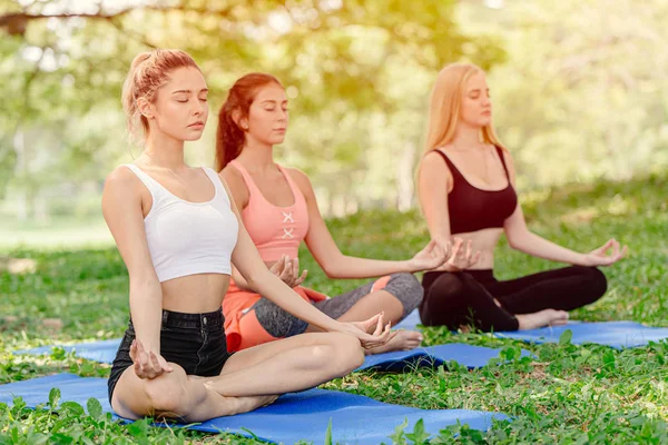 Lotus poziyonunda oturan güzel kadınların yoga sınıfı. Sakin ol ve sağlıklı bir yaşam için meditasyon yap..