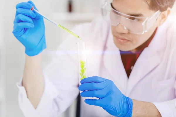 Bioscience Scientist working in medical lab to research and develop new drug by natural essence chemical extraction from leaves for making nature safe medicine