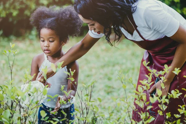 Keluarga Yang Indah Berkebun Aktivitas Tanaman Hijau Berair Dengan Anak — Stok Foto